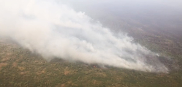 Bomberos y médicos acuden a zona amenazada por incendio del Pantanal | Noticias Paraguay