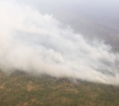 Incendio en Pantanal pierde intensidad, pero sigue el peligro - Paraguay.com