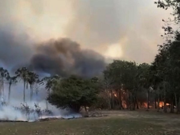 Incendio voraz en el Pantanal afectó el 43% de la estación Tres Gigantes