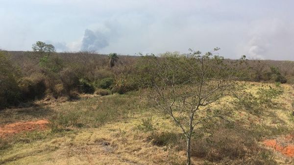Incendios disminuyeron en Alto Chaco, pero siguen con varios focos - Nacionales - ABC Color