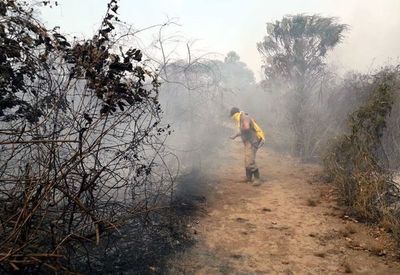 Incendio forestal en reserva del Chaco se encuentra controlado, según la SEN » Ñanduti