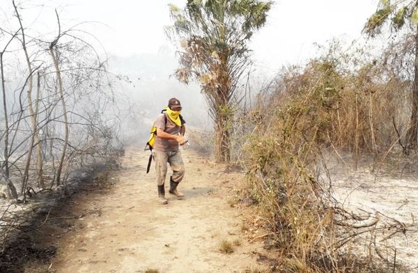 Vegetación devastada y 60 pobladores afectados tras incendio forestal - Nacionales - ABC Color
