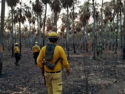 En Bahía Negra el fuego se encuentra controlado, asegura ministro | .::Agencia IP::.