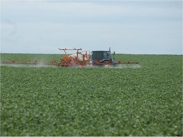 La ONU acusa a Paraguay de violar derechos humanos en uso de agroquímicos