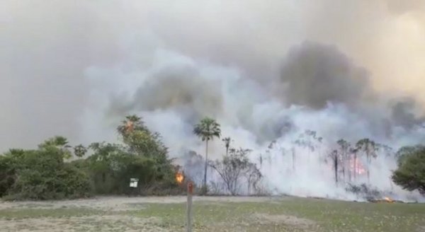Desesperante situación en Chaco: incendio forestal provoca fuga de ganado
