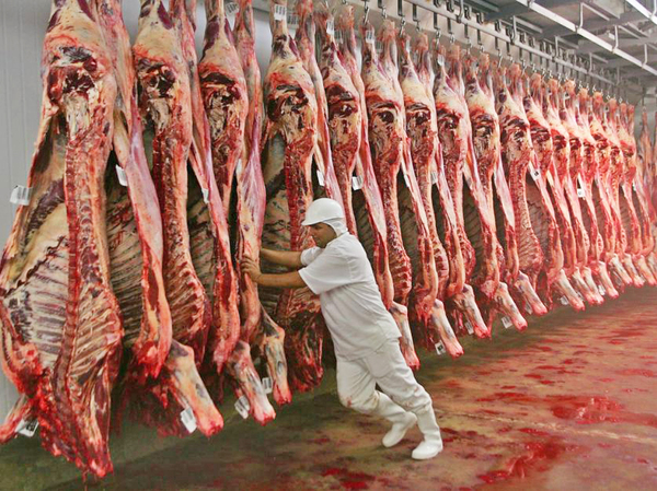 Primera carga de carne premiun parte a Israel