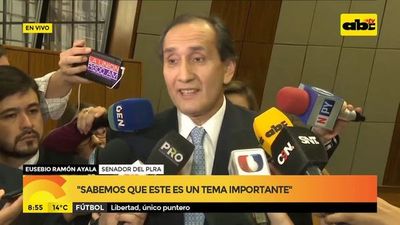 Comisión Bicameral inicia la investigación del acta bilateral - ABC Noticias - ABC Color