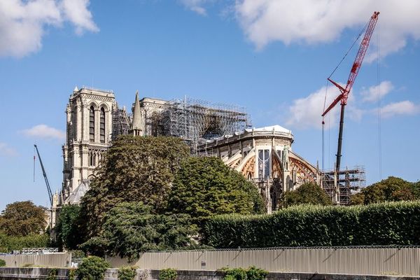 Las obras de Notre Dame se reanudan con medidas de seguridad - Cultura - ABC Color
