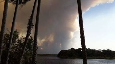 Incendio Pantanal: 60 pobladores afectados y vegetación devastada, confirma SEN - La Primera Mañana - ABC Color