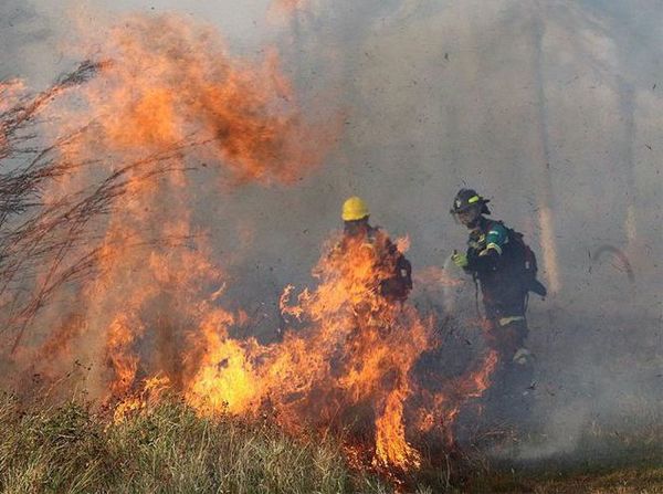 MUNDO | Incendios forestales en Bolivia se acercan al Paraguay