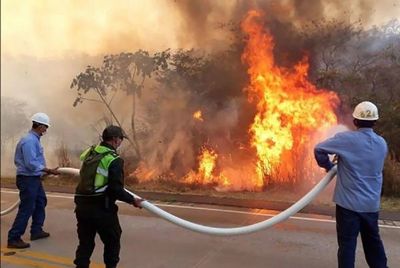 Frontera de fuego: Incendios en Bolivia se acercan al Paraguay