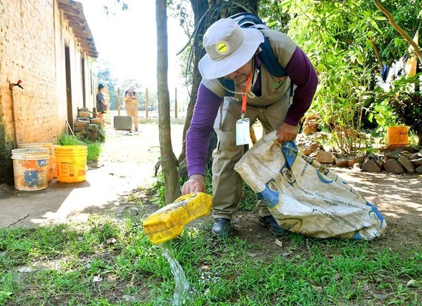 Insisten en eliminar criaderos de aedes aegypti diariamente - ADN Paraguayo
