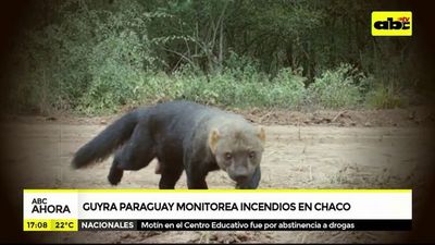 Guyrá Paraguay monitorea incendios en el Chaco - ABC Noticias - ABC Color