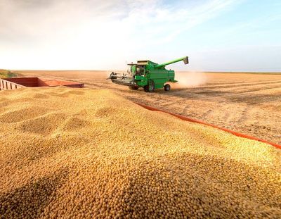 Bajante del río retrasa exportaciones de soja y complica panorama