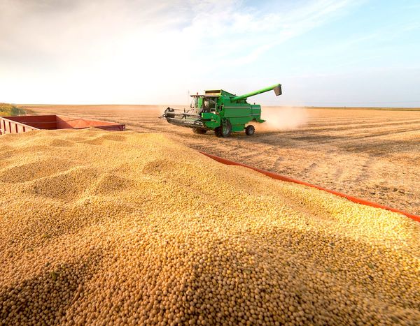 Bajante del río retrasa exportaciones de soja y complica panorama