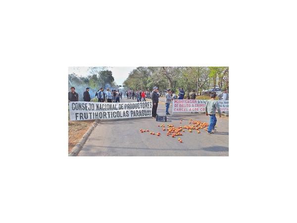 Tomateros cerraron la ruta y exigen el fin del contrabando