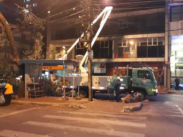 ANDE y comuna esteña realizan poda de árboles en el microcentro de CDE