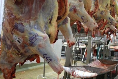 Argentina podría cerrar el año exportando 700 mil toneladas