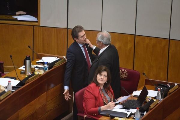 Luis Castiglioni retomó su banca en el Senado - Nacionales - ABC Color