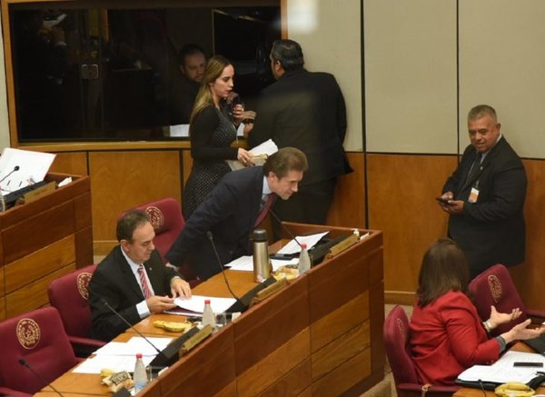 Castiglioni vuelve a ocupar su banca en Senado