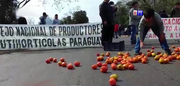 MAG trabajó solo con 60% de tomateros para evitar superproducción