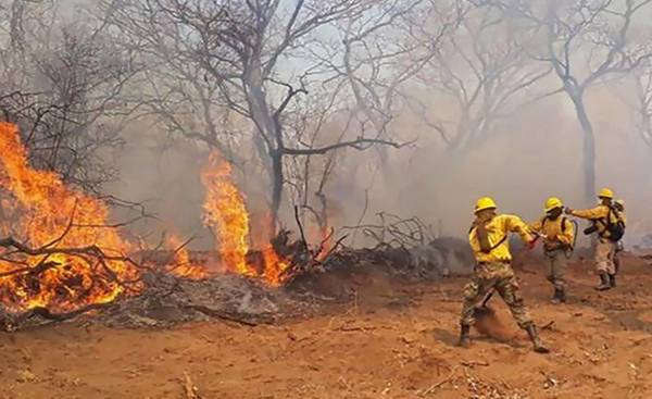 Bolivia: Incendio forestal alcanza 460 hectáreas