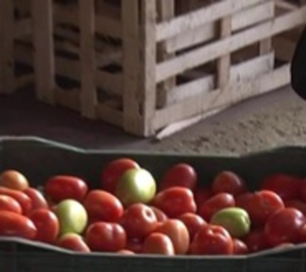 Golpe al contrabando: Incautan 600 cajas de tomate - Paraguay.com