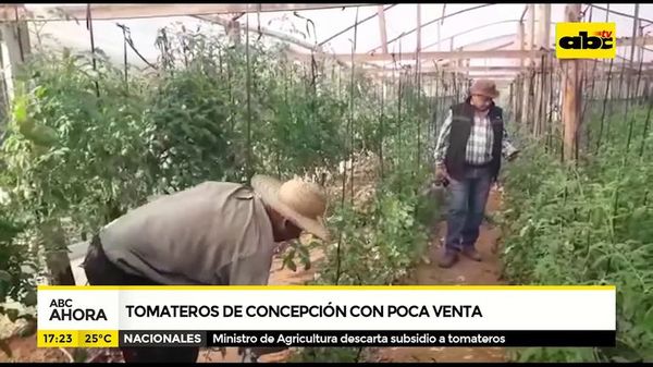 Tomateros de Concepción con poca venta - ABC Noticias - ABC Color