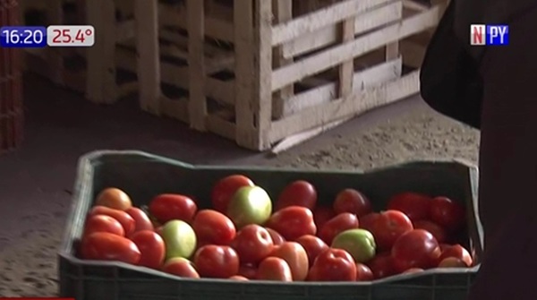 Golpe al contrabando: Incautan 600 cajas de tomate | Noticias Paraguay