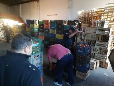 Incautan 600 cajas de tomate de supuesto contrabando
