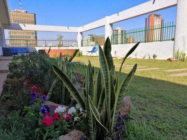 Habilitarán terraza verde dedicada a Julio Saldaña y Ricardo Migliorisi » Ñanduti