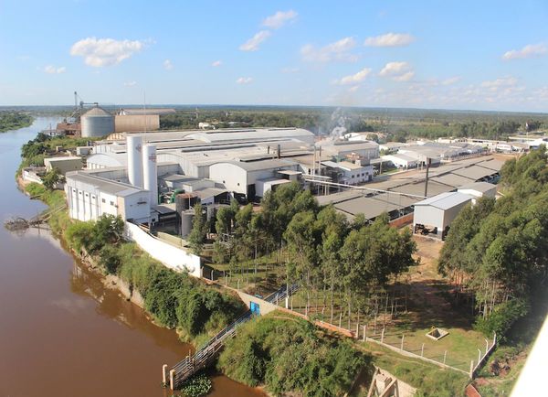 Mercado ruso habilitó a dos plantas cárnicas