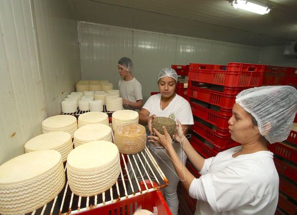 La escuela que enseña a alumnos a hacer hasta queso gourmet