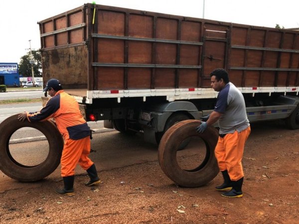 Cubiertas viejas tiradas generan grave problema ambiental en CDE