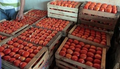 Incautan tomate de contrabando