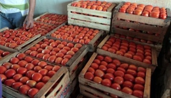 Incautan tomate de contrabando