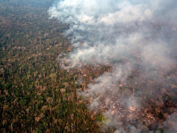 El número de incendios en Brasil hasta agosto es el mayor en 7 años