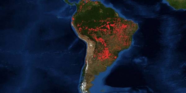 La selva amazonica arde y el panorama es devastador » Ñanduti