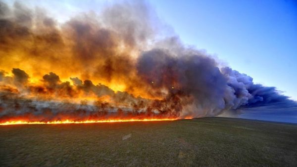 LA SELVA DE LA AMAZONIA EN BRASIL ARDE A UNA VELOCIDAD RÉCORD