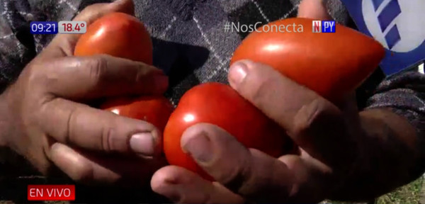 Tomateros continúan movilizados | Noticias Paraguay