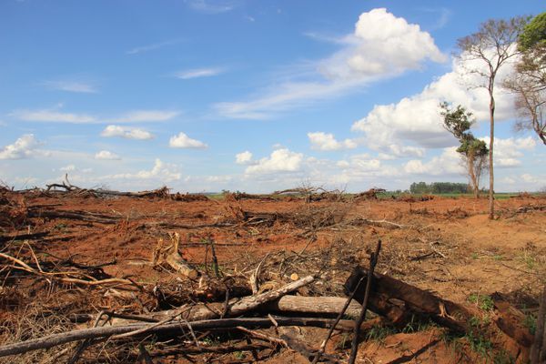 Cambio climático llama con fuerza a la puerta de Paraguay