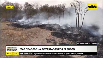Más de 42.000 hactáreas devastadas por el fuego - ABC Noticias - ABC Color