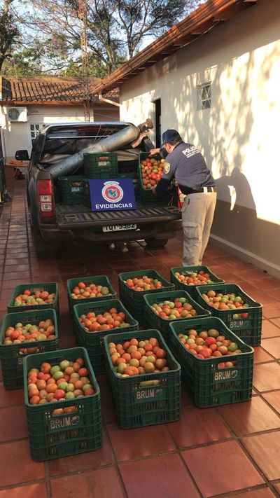 Incautan tomates brasileños en Pedro Juan - Nacionales - ABC Color