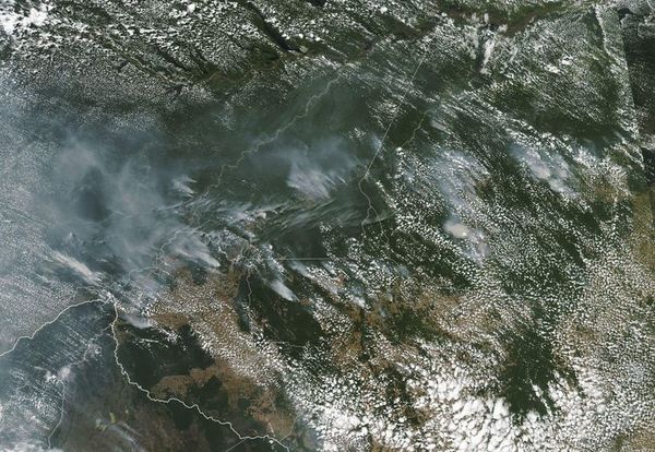 Bolsonaro insinúa que las ONG son responsables de incendios en la Amazonía - Mundo - ABC Color