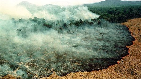 Focos de incendio aumentan 83% en Brasil, a causa de deforestación y sequía - Mundo - ABC Color