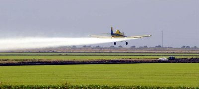 Fumigación aérea y control de insectos con tierra diatomea - - ABC Color
