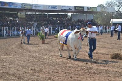 Muestra chaqueña apunta al desarrollo - ABC Rural - ABC Color