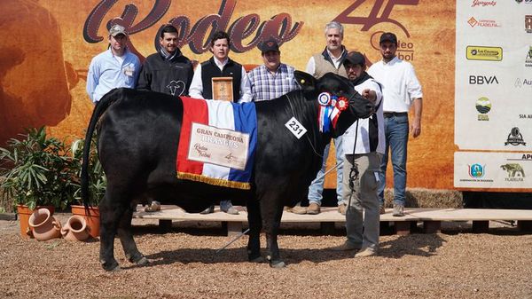 Grandes Campeones de la Expo Trébol 2019 - ABC Rural - ABC Color