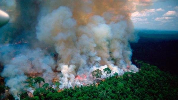 Se incendia el Amazonas mientras Bolsonaro se burla y asegura que son “datos falsos” - ADN Paraguayo