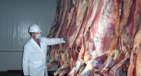 Crean la Asociación Paraguaya de la Producción y Exportación de la Carne » Ñanduti